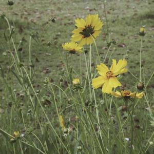 极品尤物丰满暴露尤物视频
